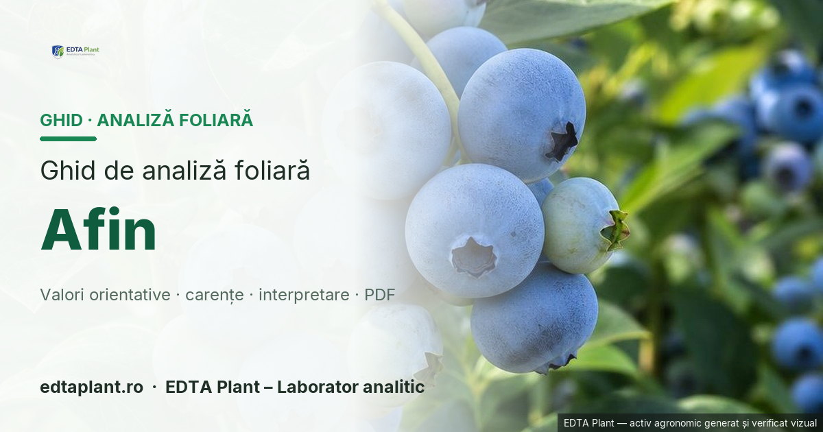 Afin (Vaccinium corymbosum L.) — ghid de analiză foliară EDTA Plant