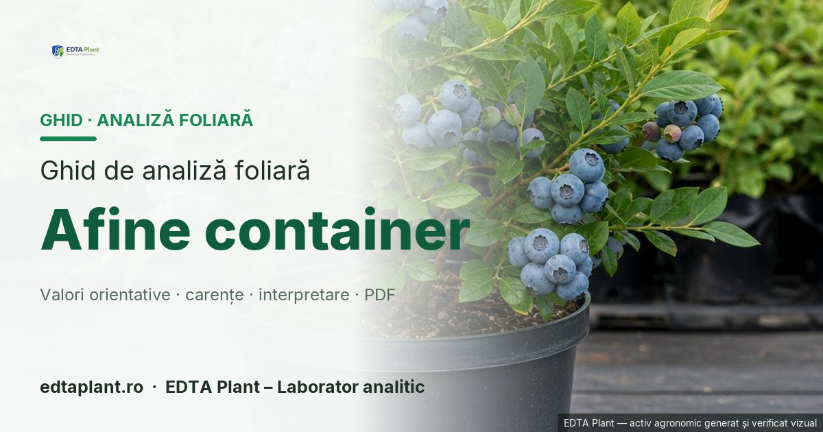 Afine container (Vaccinium corymbosum L. / cultivar) — ghid de analiză foliară EDTA Plant