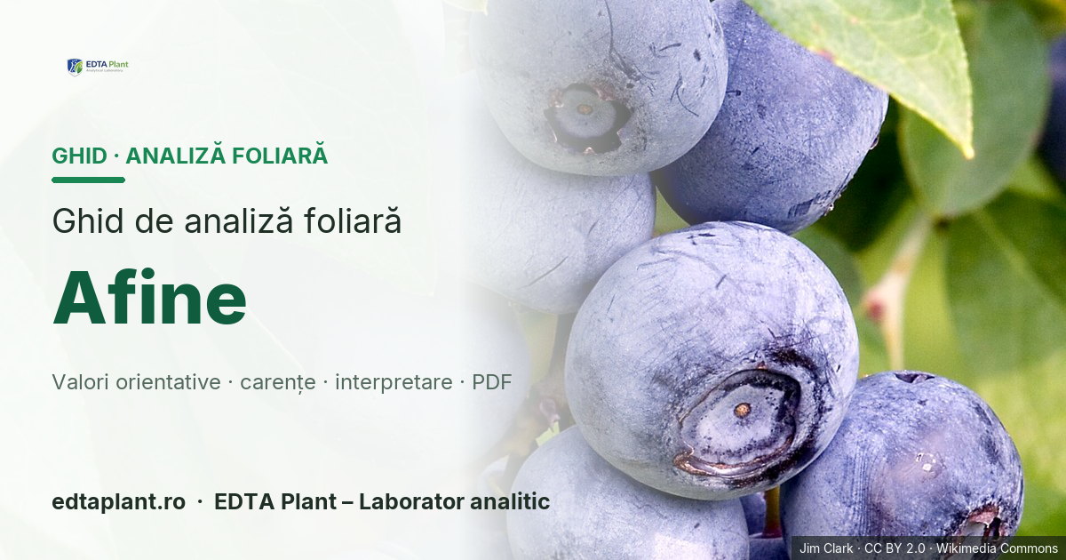 Coperta ghidului de analiză foliară pentru Afine