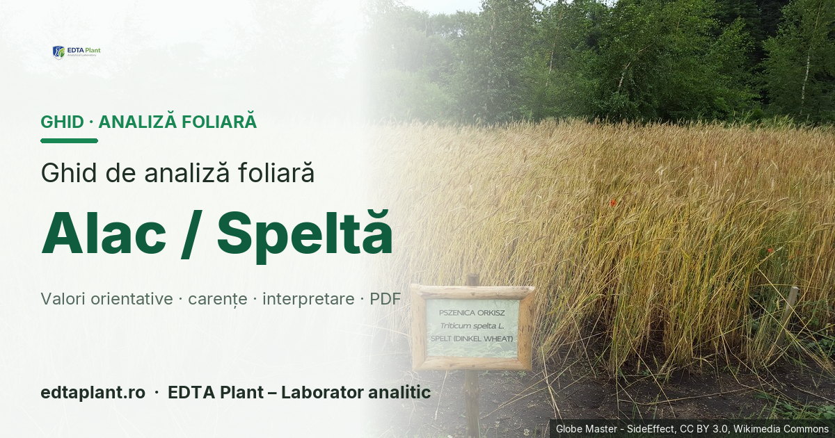Alac / Speltă (Triticum spelta L.) — ghid de analiză foliară EDTA Plant