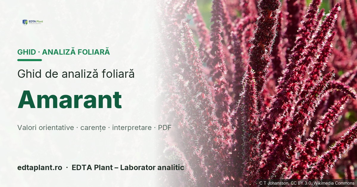Amarant (Amaranthus cruentus / A. hybridus — profil ROfert multispecie) — ghid de analiză foliară EDTA Plant