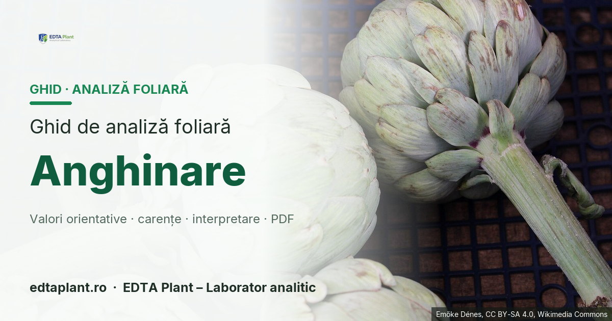 Anghinare (Cynara cardunculus var. scolymus) — ghid de analiză foliară EDTA Plant