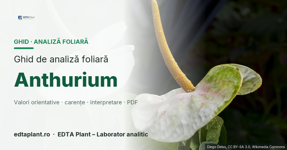 Anthurium (Anthurium andraeanum / hybrids) — ghid de analiză foliară EDTA Plant