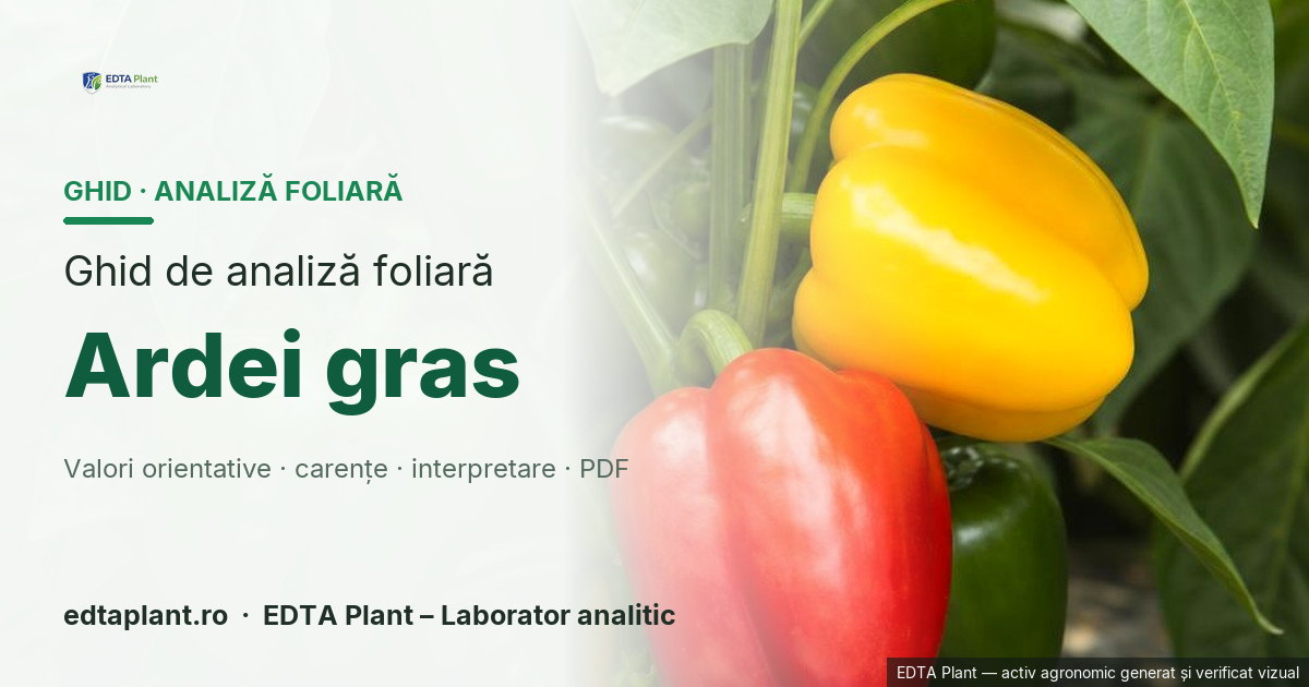 Ardei gras (Capsicum annuum L.) — ghid de analiză foliară EDTA Plant