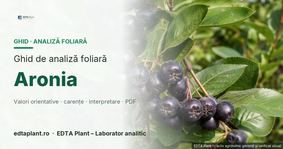 Aronia (Aronia melanocarpa (Michx.) Elliott) — ghid de analiză foliară EDTA Plant