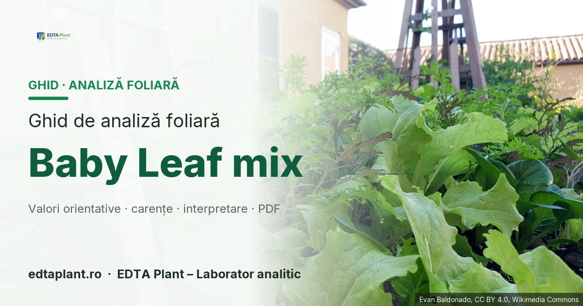 Baby Leaf mix (Baby-leaf mix — amestec comercial multispecie; compoziția lotului este metadată obligatorie) — ghid de analiză foliară EDTA Plant