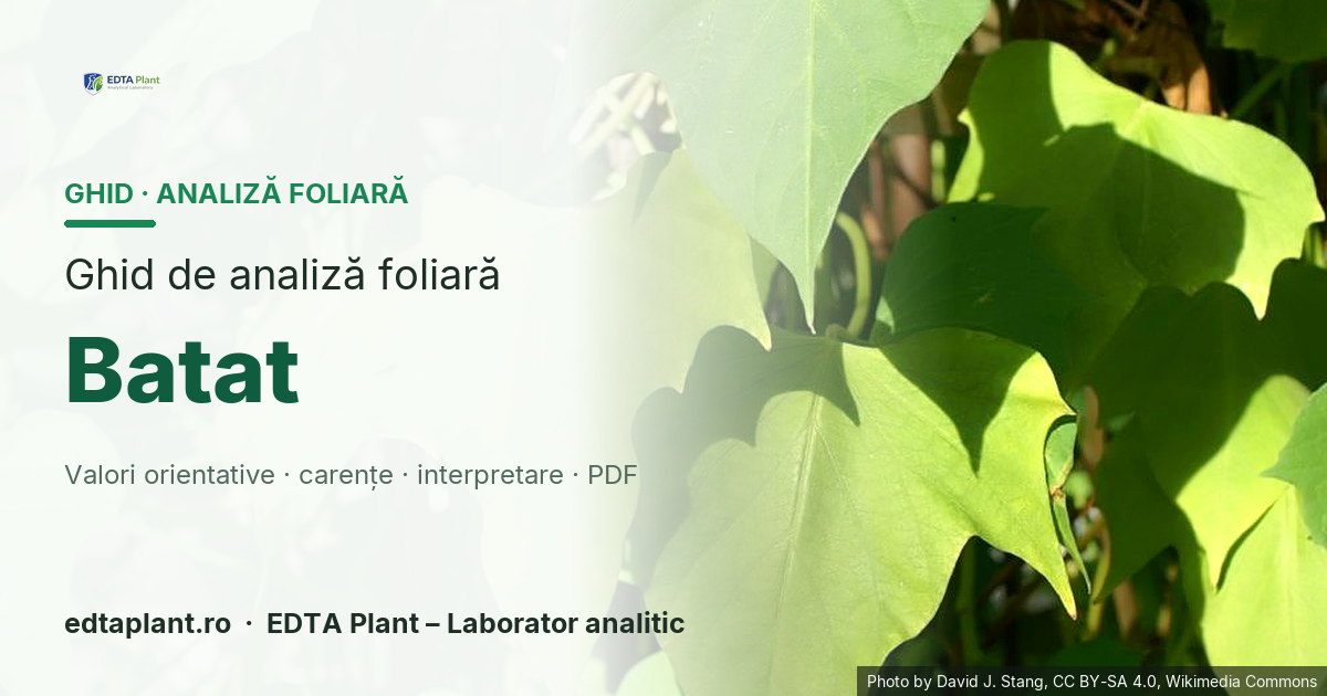 Batat (Ipomoea batatas (L.) Lam.) — ghid de analiză foliară EDTA Plant