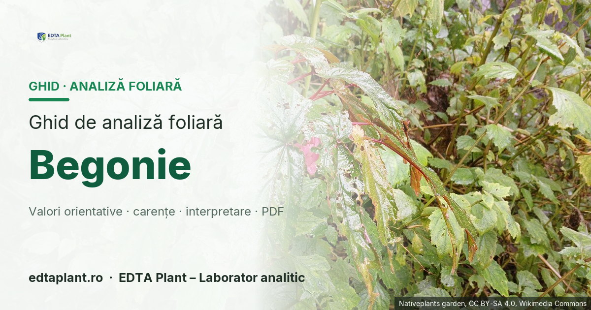 Begonie (Begonia spp.) — ghid de analiză foliară EDTA Plant