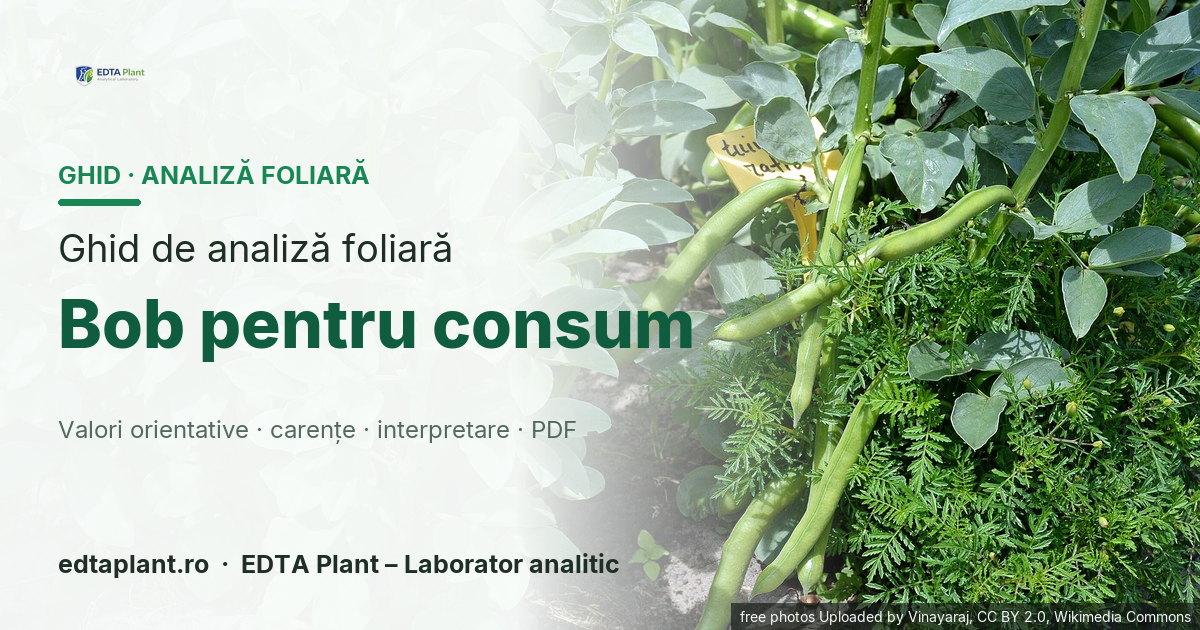 Bob pentru consum (Vicia faba L.) — ghid de analiză foliară EDTA Plant