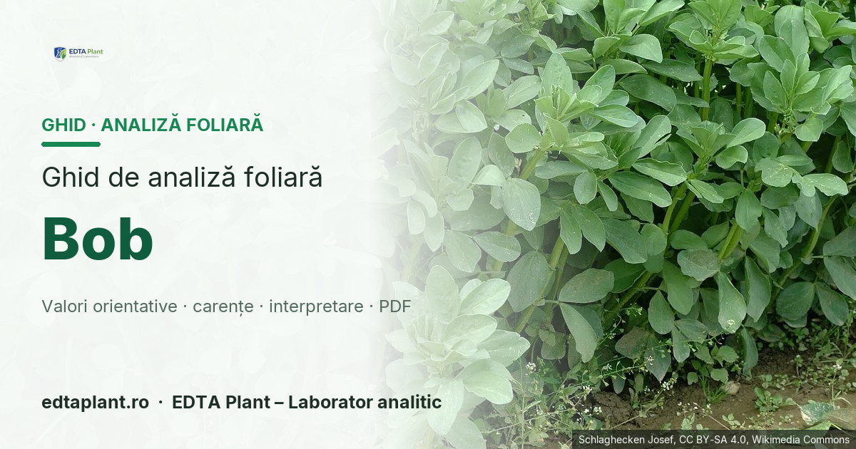 Bob (Vicia faba L.) — ghid de analiză foliară EDTA Plant
