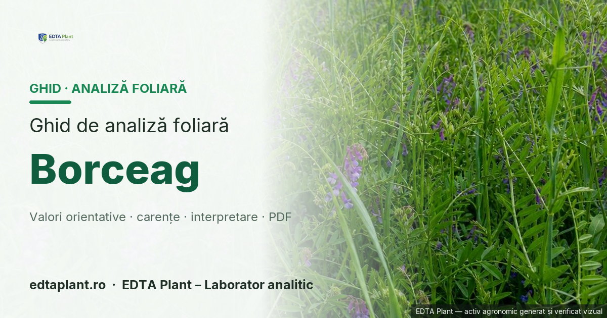 Borceag (amestec de leguminoase + cereale; fără taxon unic) — ghid de analiză foliară EDTA Plant