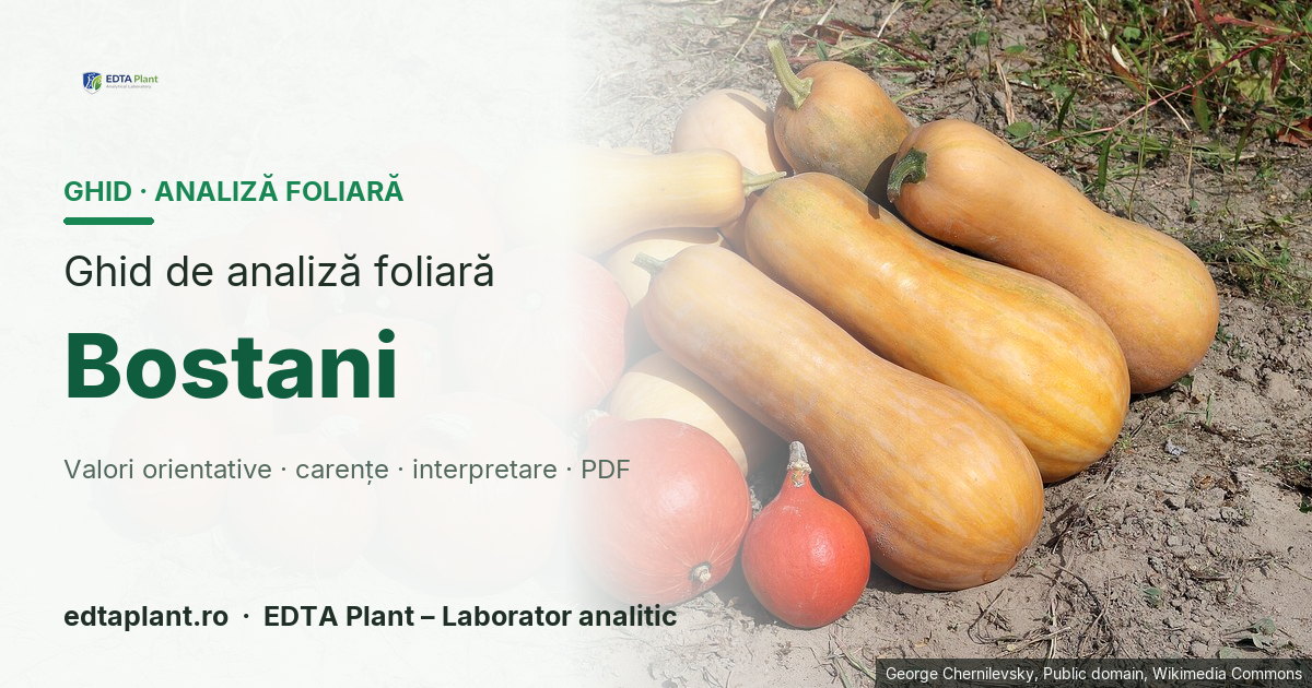 Bostani (Cucurbita spp.; categorie comercială) — ghid de analiză foliară EDTA Plant