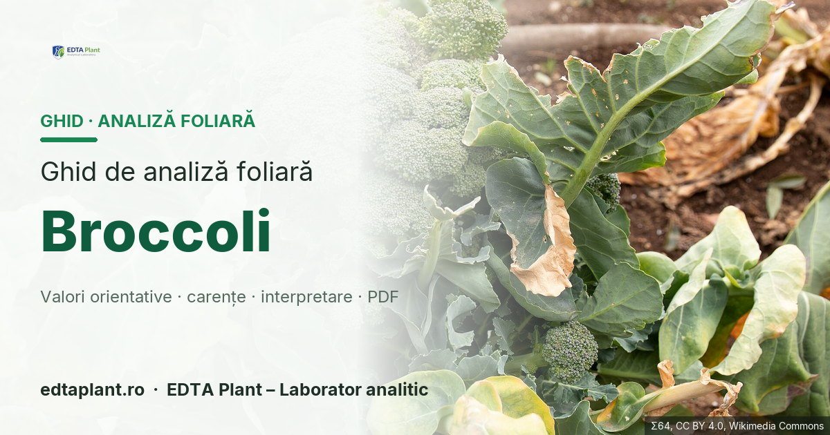 Broccoli (Brassica oleracea var. italica) — ghid de analiză foliară EDTA Plant