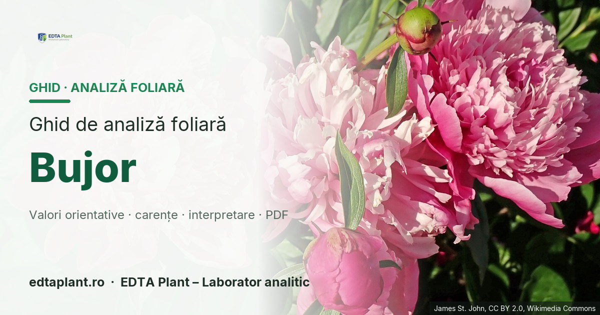 Bujor (Paeonia spp.) — ghid de analiză foliară EDTA Plant