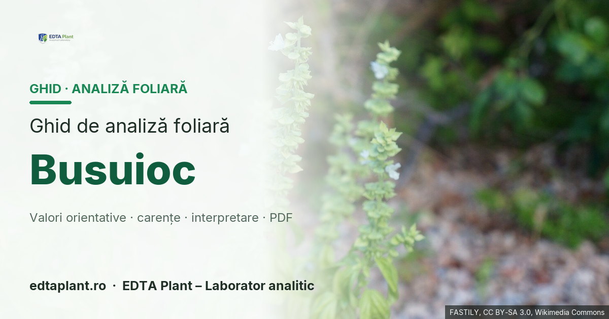 Busuioc (Ocimum basilicum L.) — ghid de analiză foliară EDTA Plant