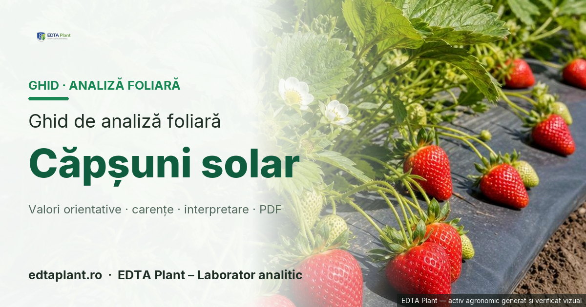 Căpșuni solar (Fragaria × ananassa Duchesne) — ghid de analiză foliară EDTA Plant