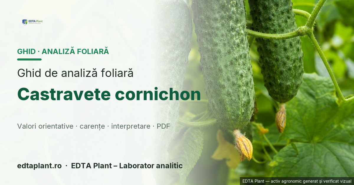 Castravete cornichon (Cucumis sativus L.) — ghid de analiză foliară EDTA Plant