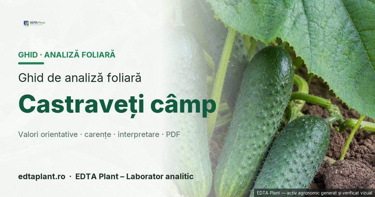 Castraveți câmp (Cucumis sativus L.) — ghid de analiză foliară EDTA Plant
