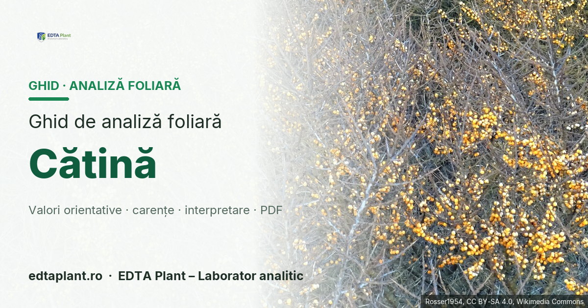Cătină (Hippophae rhamnoides L.) — ghid de analiză foliară EDTA Plant