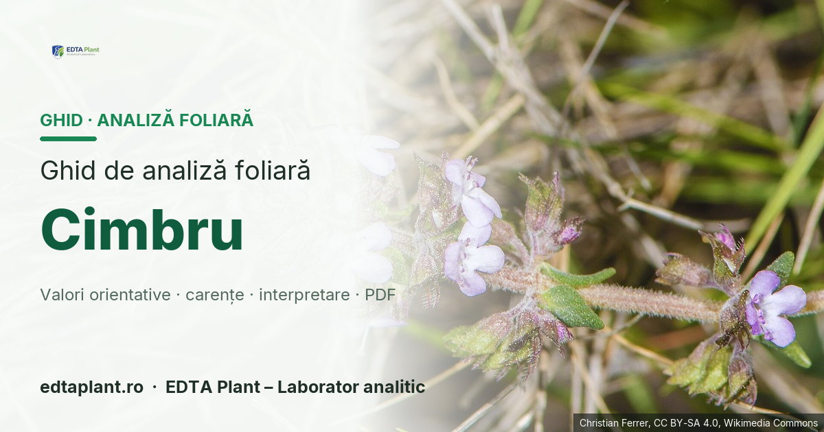 Cimbru (Thymus vulgaris L.) — ghid de analiză foliară EDTA Plant
