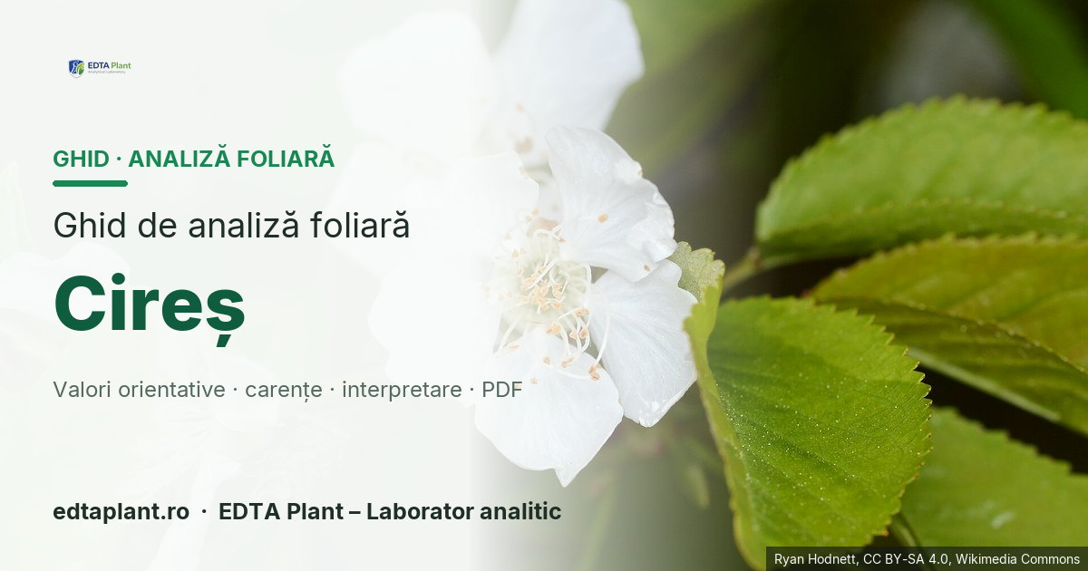 Cireș (Prunus avium L.) — ghid de analiză foliară EDTA Plant