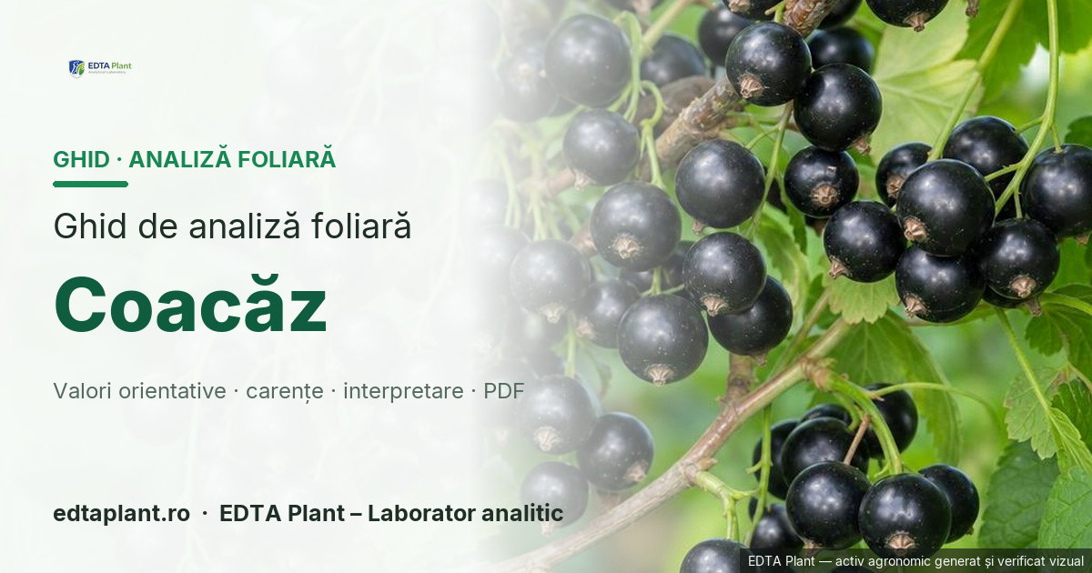 Coacăz (Ribes spp.) — ghid de analiză foliară EDTA Plant