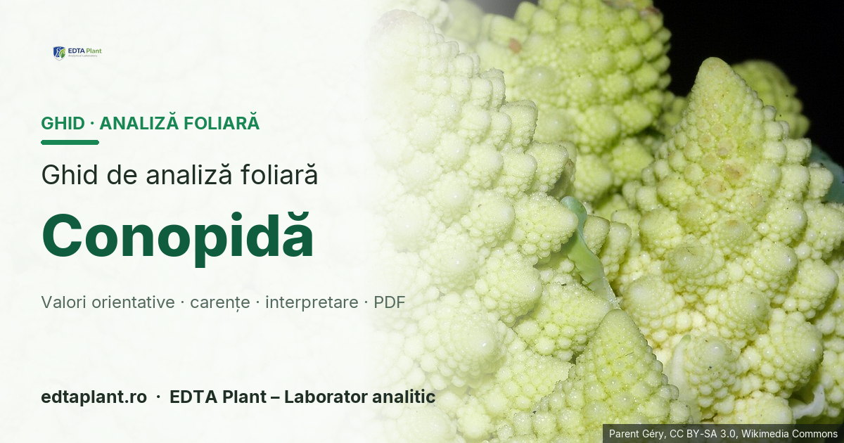 Conopidă (Brassica oleracea var. botrytis) — ghid de analiză foliară EDTA Plant