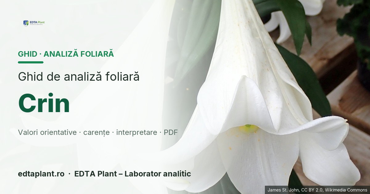 Crin (Lilium spp.) — ghid de analiză foliară EDTA Plant