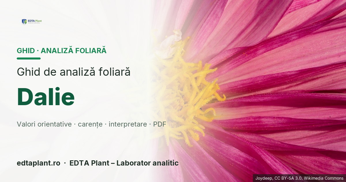 Dalie (Dahlia spp.) — ghid de analiză foliară EDTA Plant