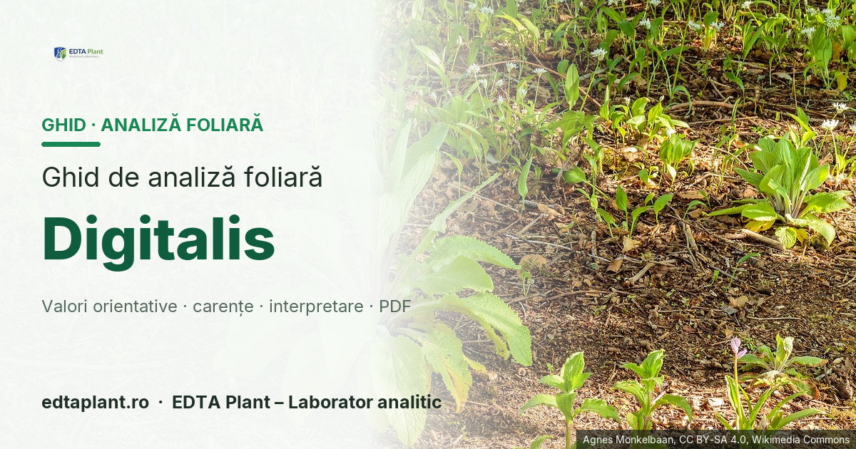 Digitalis (Digitalis spp. — specie de confirmat) — ghid de analiză foliară EDTA Plant