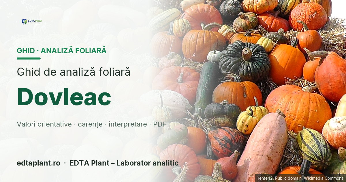 Dovleac (Cucurbita spp.; specie de confirmat) — ghid de analiză foliară EDTA Plant