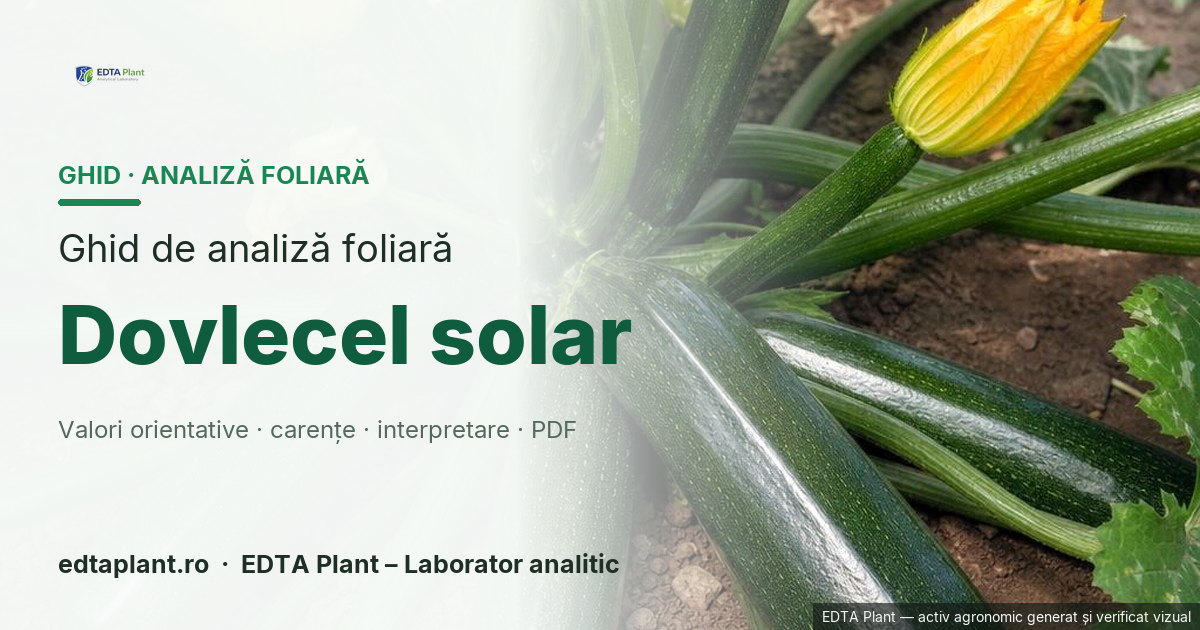Dovlecel solar (Cucurbita pepo L.) — ghid de analiză foliară EDTA Plant