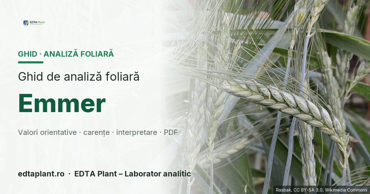 Emmer (Triticum dicoccum / T. turgidum subsp. dicoccum) — ghid de analiză foliară EDTA Plant