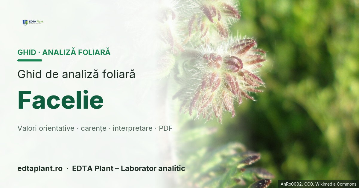 Facelie (Phacelia tanacetifolia Benth.) — ghid de analiză foliară EDTA Plant