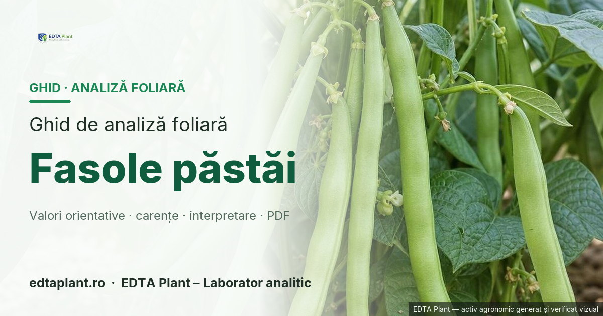 Fasole păstăi (Phaseolus vulgaris L.) — ghid de analiză foliară EDTA Plant