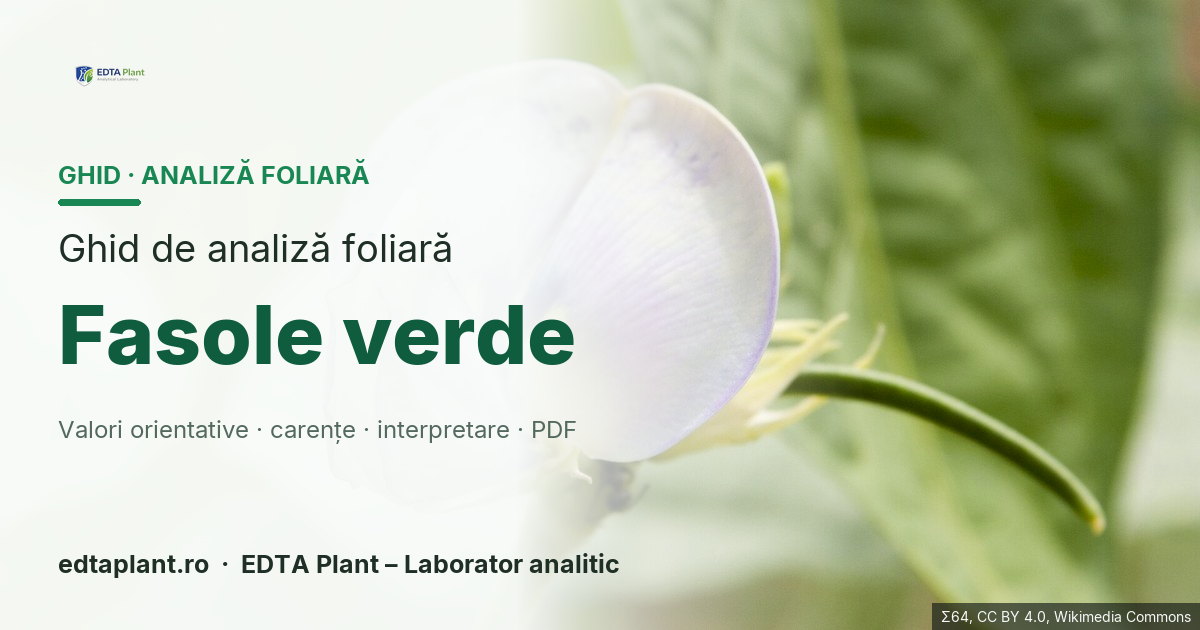 Fasole verde (Phaseolus vulgaris L.) — ghid de analiză foliară EDTA Plant