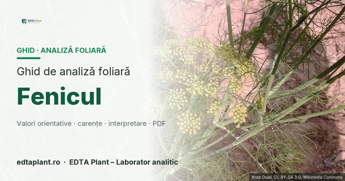 Fenicul (Foeniculum vulgare Mill.) — ghid de analiză foliară EDTA Plant