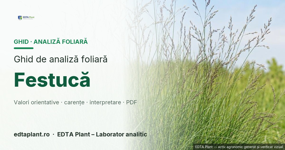 Festucă (Festuca spp.) — ghid de analiză foliară EDTA Plant