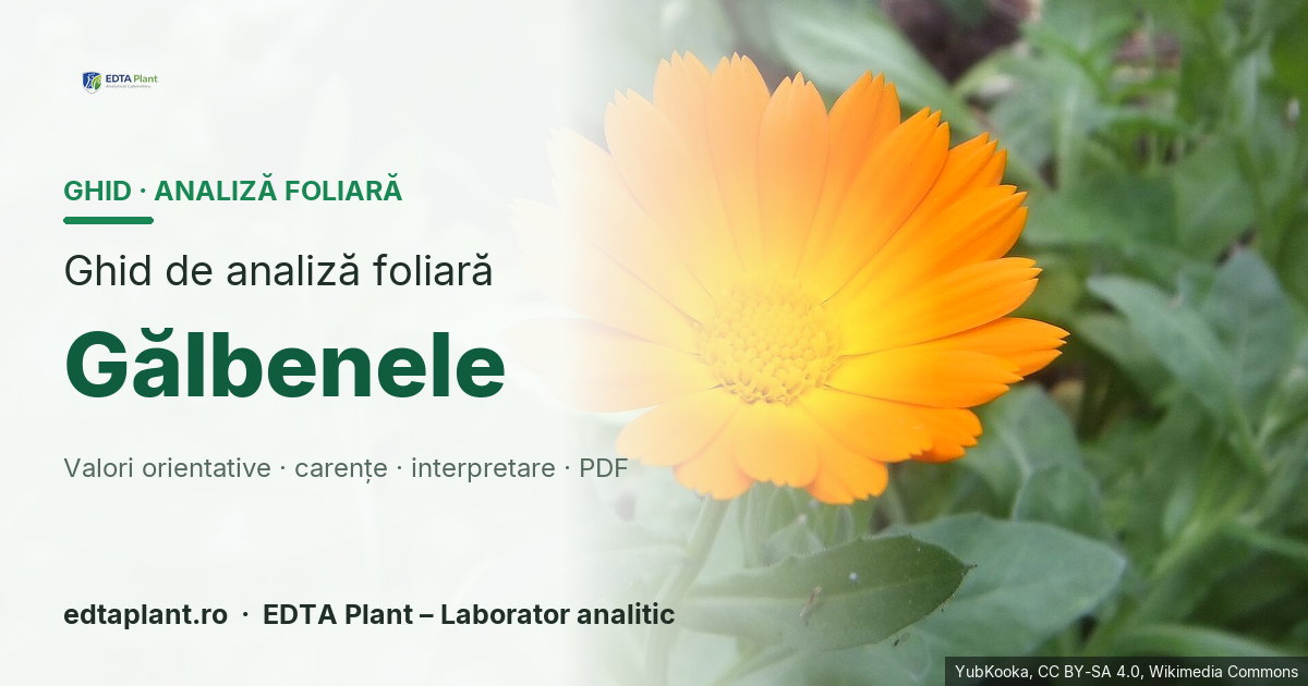 Gălbenele (Calendula officinalis L.) — ghid de analiză foliară EDTA Plant
