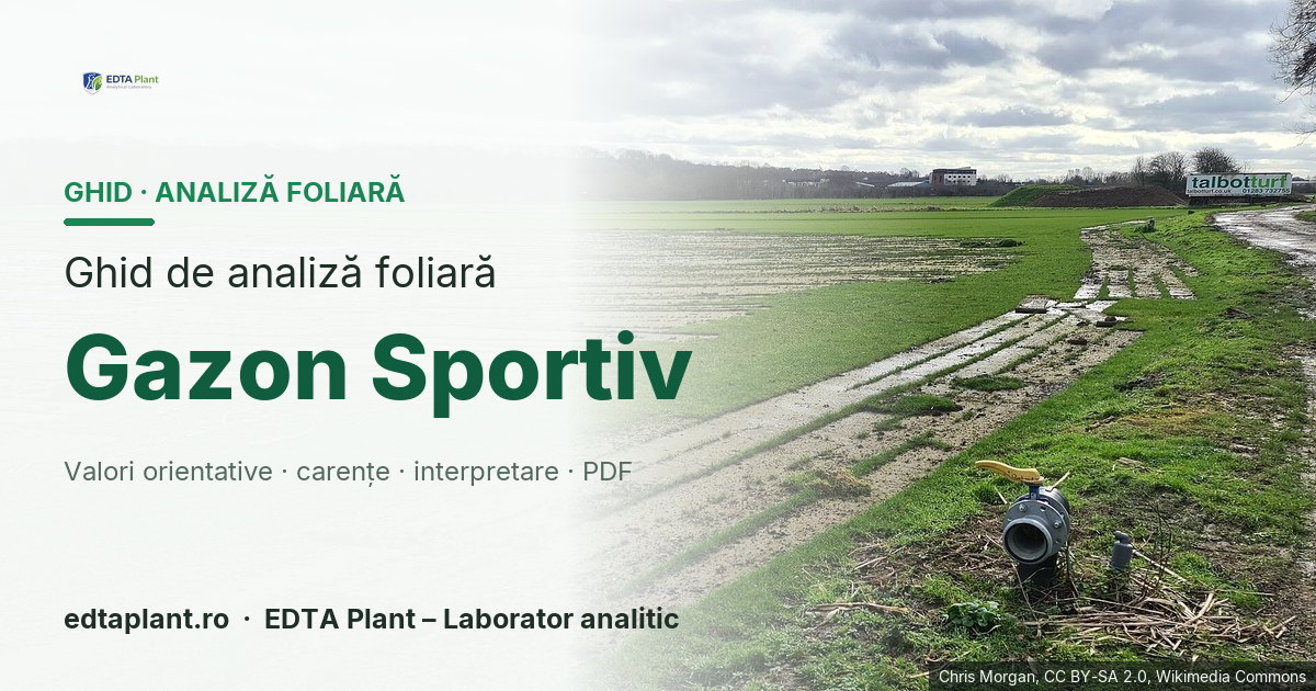 Gazon Sportiv (amestec turfgrass; fără taxon unic) — ghid de analiză foliară EDTA Plant
