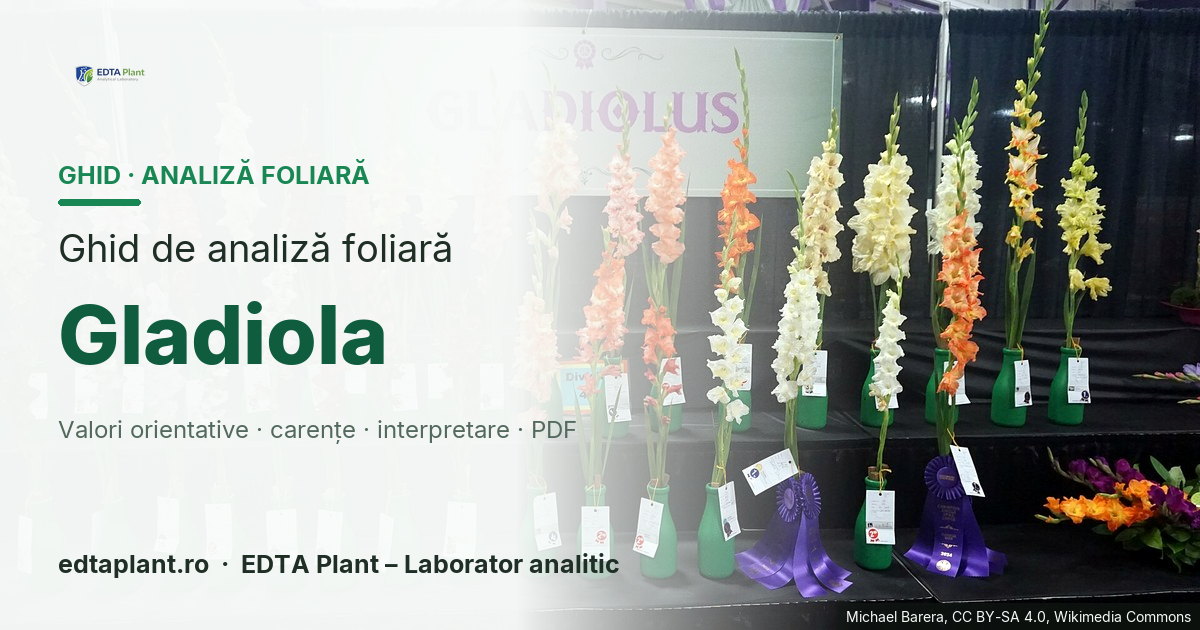 Gladiola (Gladiolus spp.) — ghid de analiză foliară EDTA Plant
