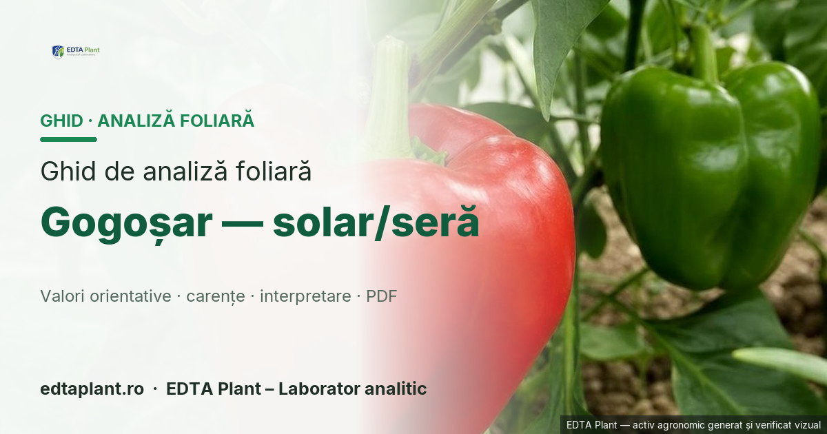 Gogoșar — solar/seră (Capsicum annuum L.) — ghid de analiză foliară EDTA Plant