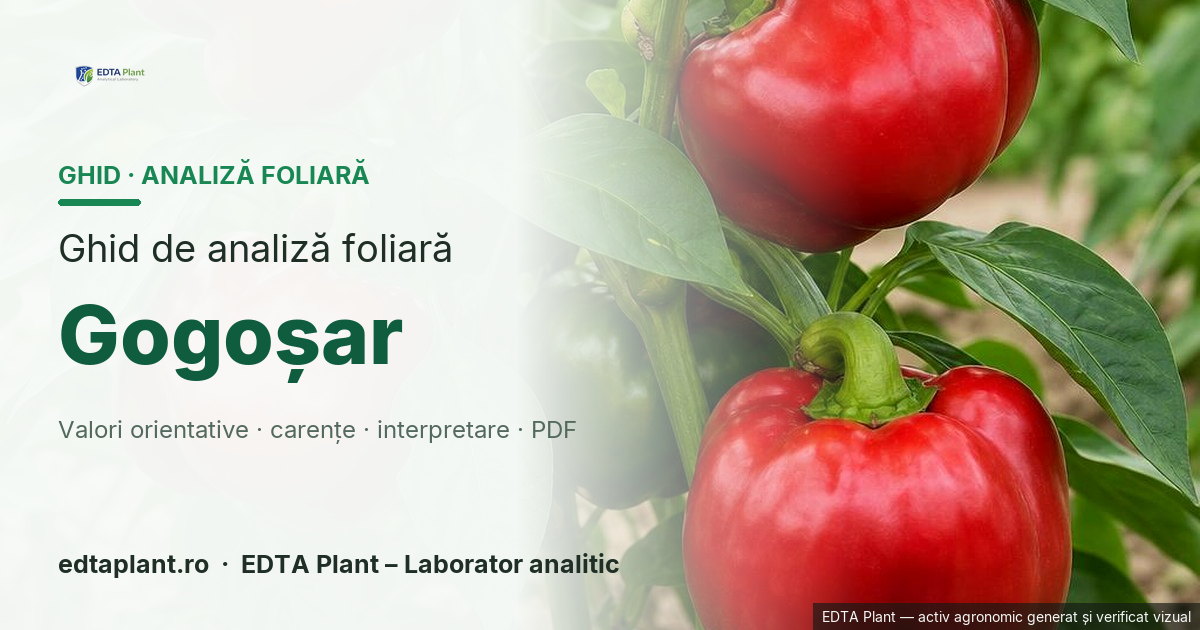 Gogoșar (Capsicum annuum L.) — ghid de analiză foliară EDTA Plant