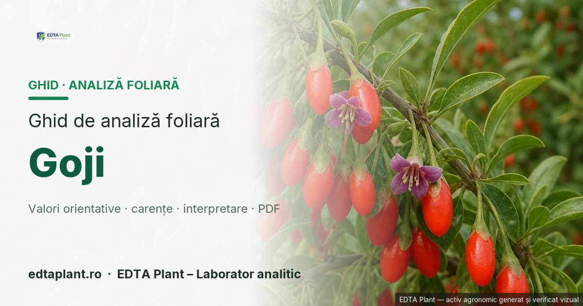 Goji (Lycium barbarum L. / L. chinense) — ghid de analiză foliară EDTA Plant