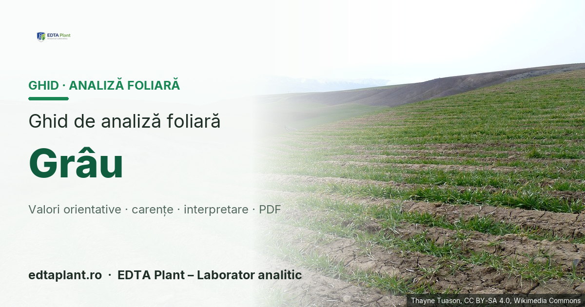 Grâu (Triticum aestivum L.) — ghid de analiză foliară EDTA Plant