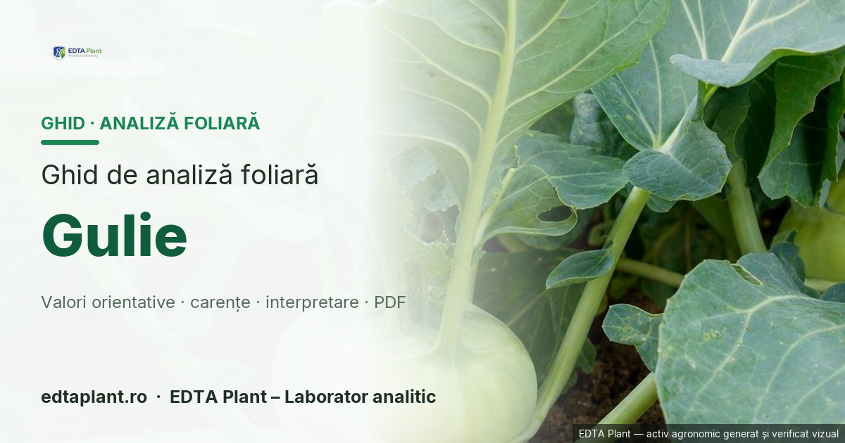 Gulie (Brassica oleracea var. gongylodes) — ghid de analiză foliară EDTA Plant