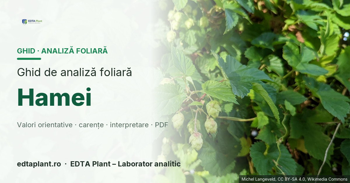 Hamei (Humulus lupulus L.) — ghid de analiză foliară EDTA Plant