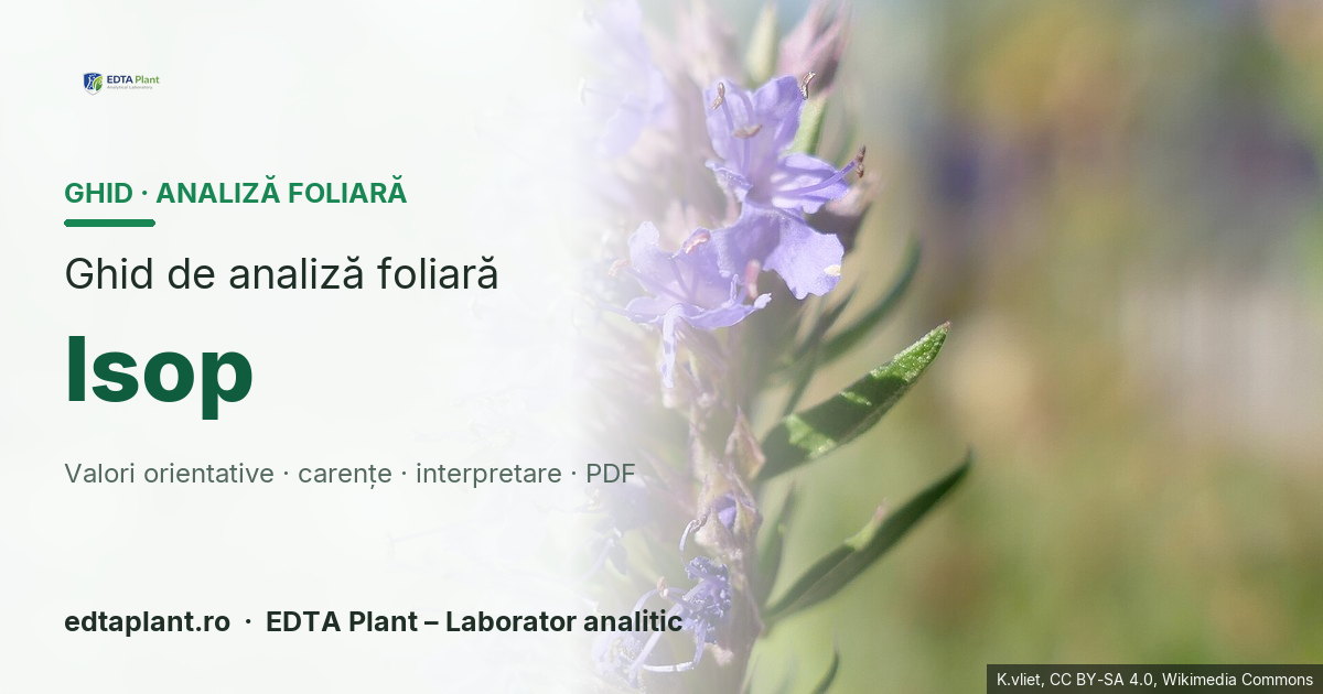 Isop (Hyssopus officinalis L.) — ghid de analiză foliară EDTA Plant