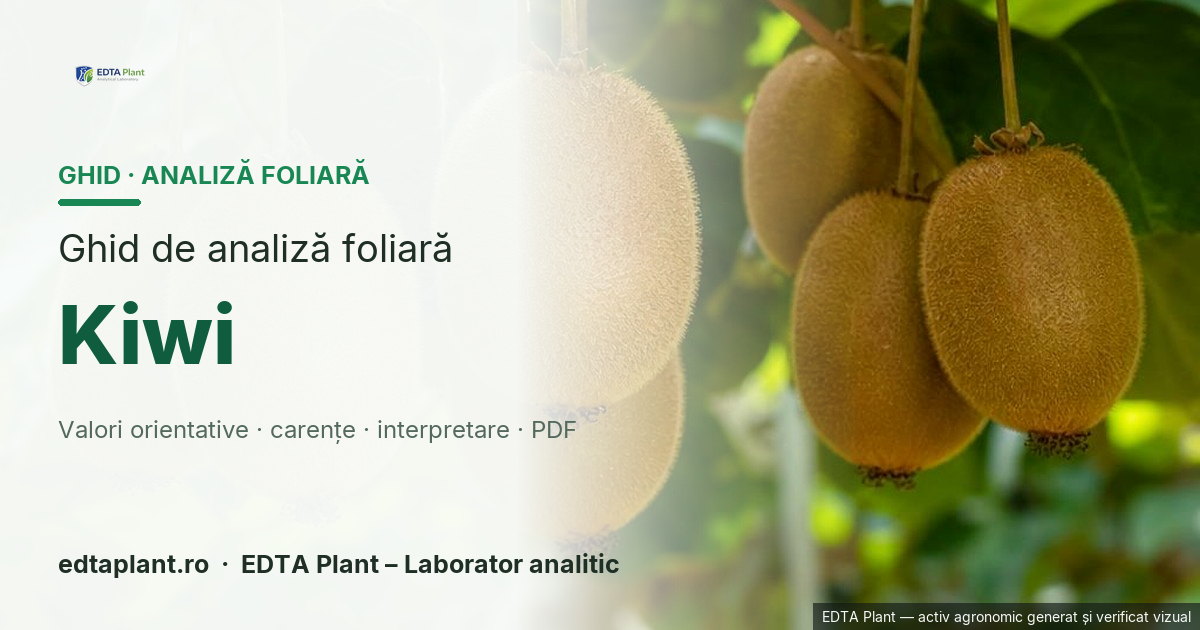 Kiwi (Actinidia deliciosa / A. chinensis / A. arguta) — ghid de analiză foliară EDTA Plant