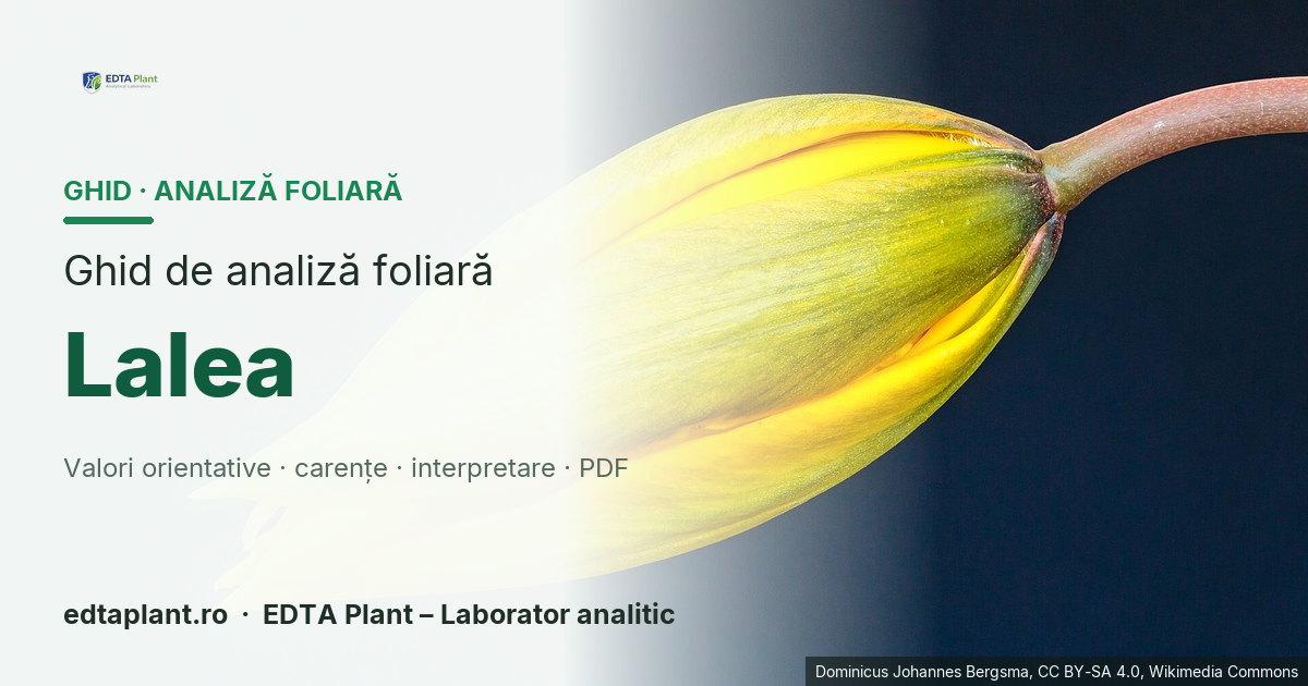 Lalea (Tulipa spp.) — ghid de analiză foliară EDTA Plant